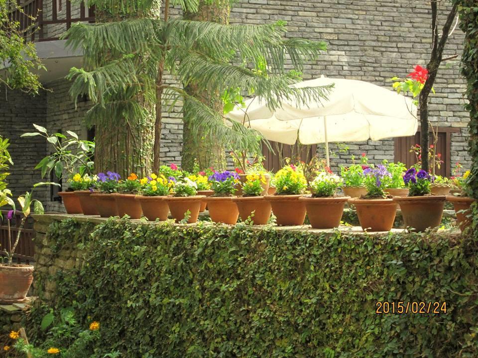 Mum'S Garden Resort Pokhara Luaran gambar